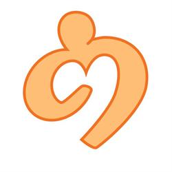 RZ Groep - lig- en zitortheses