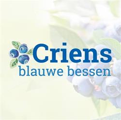Criens Blauwe Bessen BV