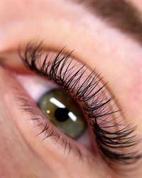 Lashes & Looks