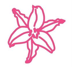 Marklily