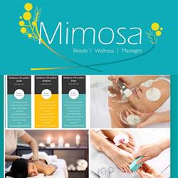 Massage salon Mimosa beauty & wellness
