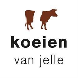 Koeien van Jelle