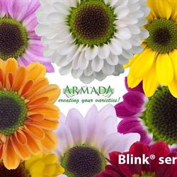 Armada Young Plants BV