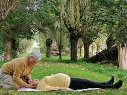Chiropractie De Lier