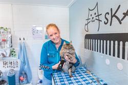 Kattentrimsalon sKATtig