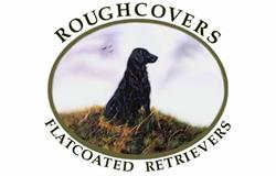 Roughcovers