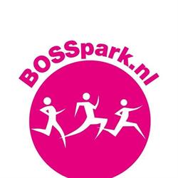 Playground het BOSS Park