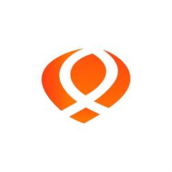 Q-Consult Progress Partners