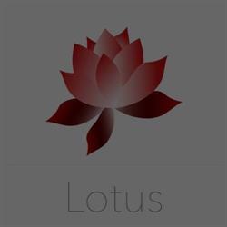Chinees restaurant Lotus Leende