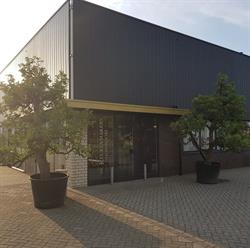 De Meubelmakery