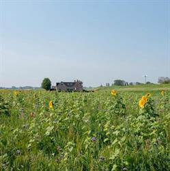 Vakantiewoning Oer it Fjild