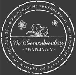 De Bloemenboerderij Vaassen