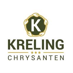 Kreling chrysanten