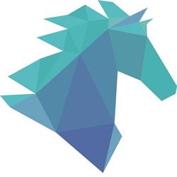 Wivaldi Hippisch Organisatie en Adviesburo