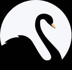 Black Swan Capital EU