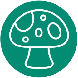 Super Smartshops