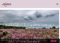 Amethist Natuurcoaching