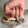 Stoppen met Roken met Hypnose Sanali
