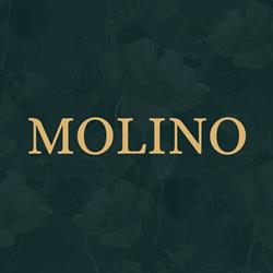 Molino Drachten