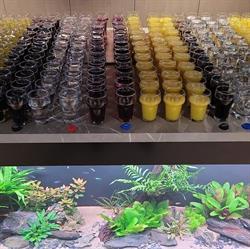 Cateringservice De gelegenheid