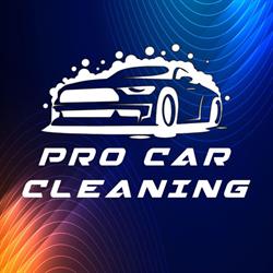 Pro Car Cleaning