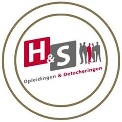 H&S Detacheringen B.V.