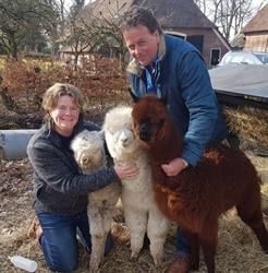 Alpacas Zeelandia