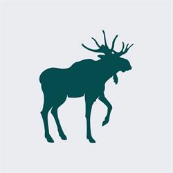 Nordic Nederland