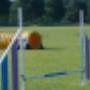Trainingsveld