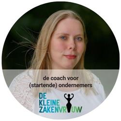 De Kleine Zakenvrouw