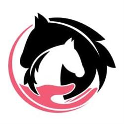 Paardentherapie bij Sandra