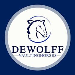 DeWolff Vaulting