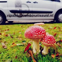 Rijschool Combinatie Zuidoost Bv