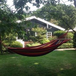 Bed en breakfast 'de Vlierenfluiter'