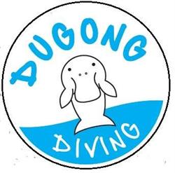 Dugong diving
