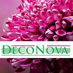 DecoNova Young Plants B.V.