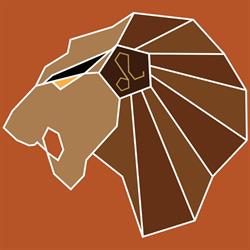 Little Lions Fysiotherapie