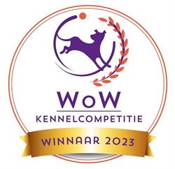 Manchester Terrier Kennel