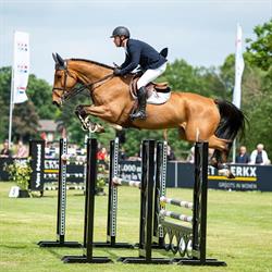 Mark Martens Equestrian