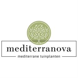 Mediterranova
