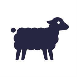 Little Sheep Animatie Studio