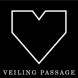 Winkeliersvereniging Veilingpassage