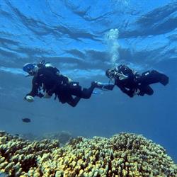 MaiDiving Divecenter