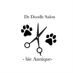 de doodle salon