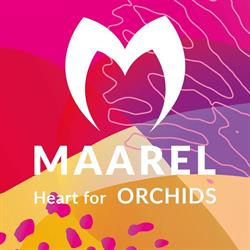 Maarel Orchids