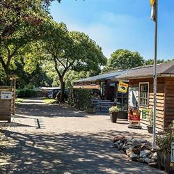 Boerderij-camping Nederrijkswald