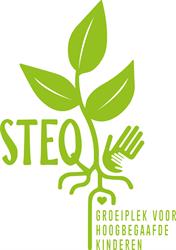 STEQ