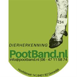 Pootband.nl