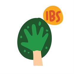IBS De Olijfboom