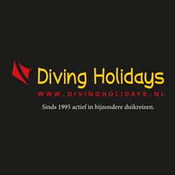 Diving Holidays